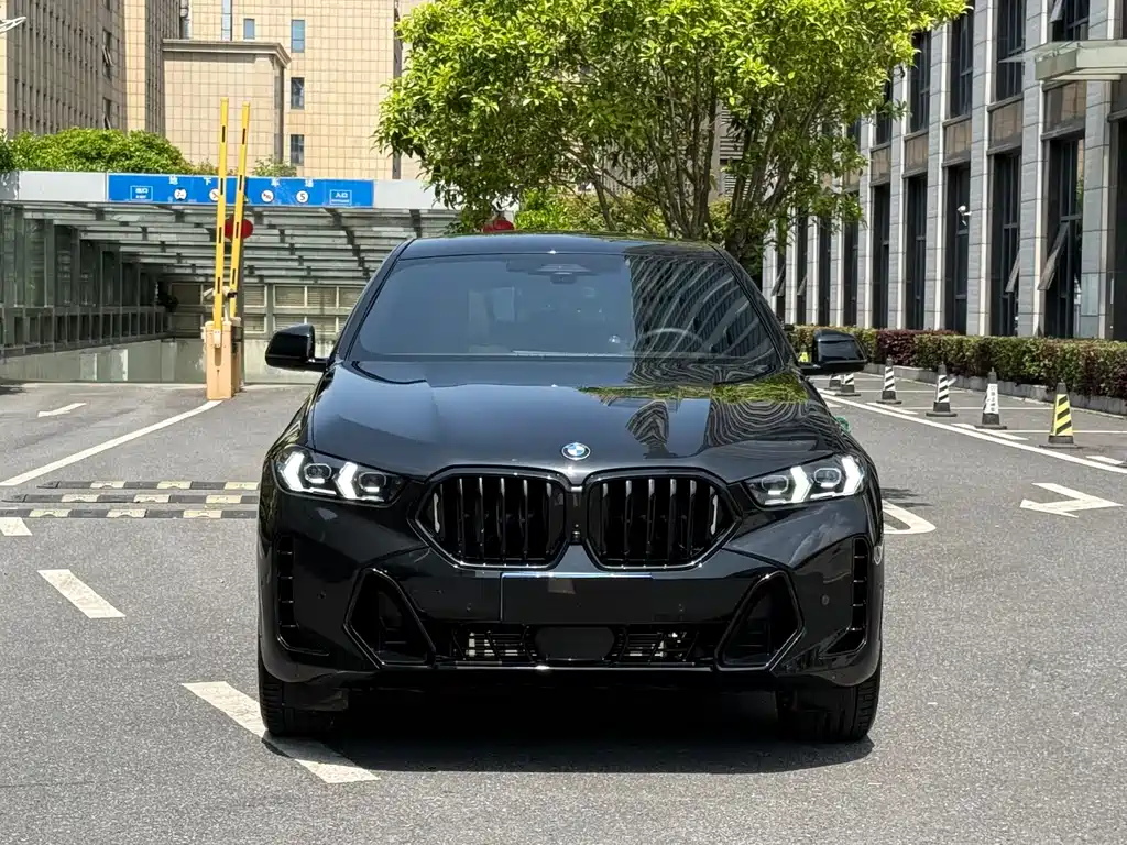 BMW BMW X6 2023 xDrive40i Premium M Sport Package 2024 - thumbnail 2