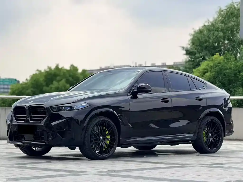 BMW BMW X6 2023 xDrive40i M Sport Package 2023