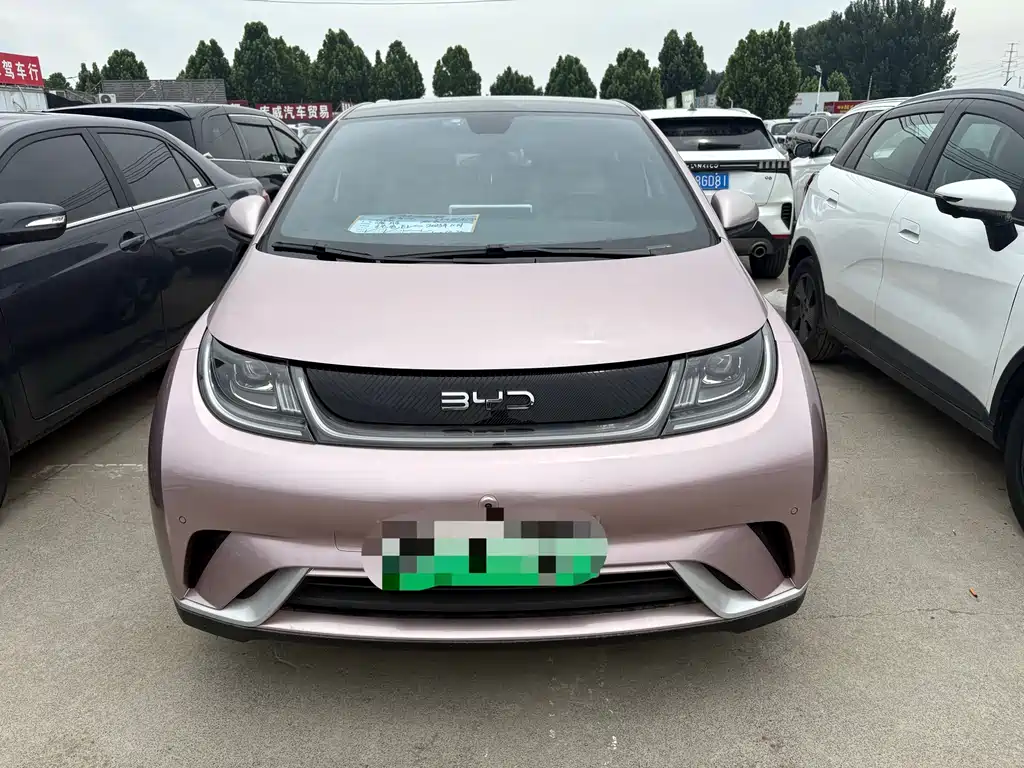 BYD Dolphin 2025 420km Freedom Edition 2024 - thumbnail 2