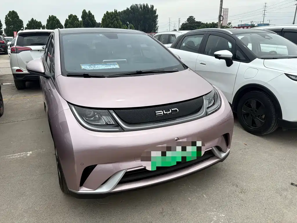 BYD Dolphin 2025 420km Freedom Edition 2024 - thumbnail 3