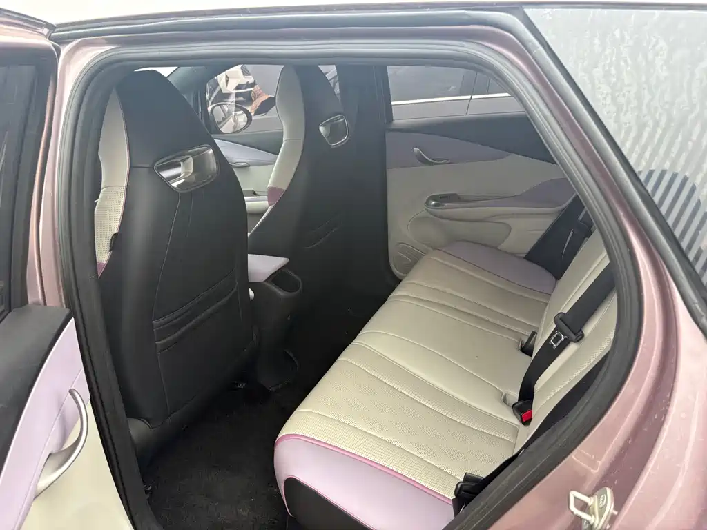 BYD Dolphin 2025 420km Freedom Edition 2024 - thumbnail 5