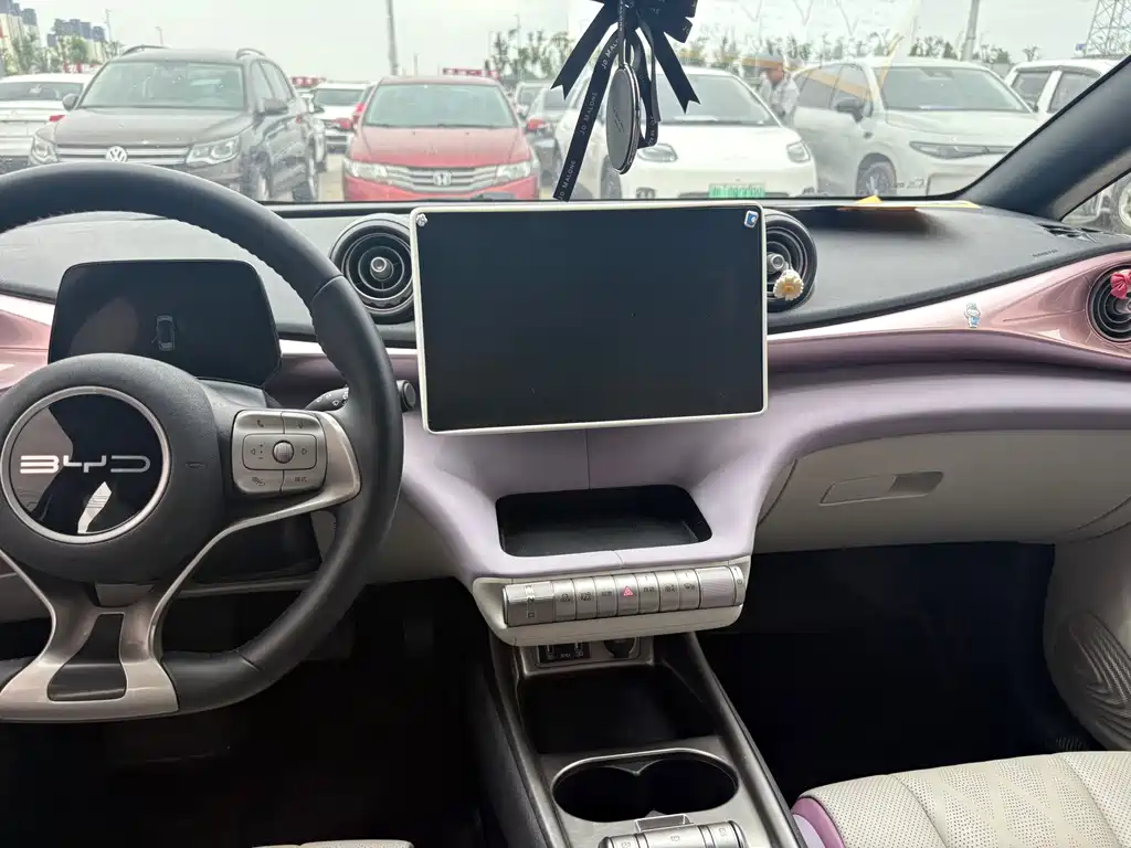 BYD Dolphin 2025 420km Freedom Edition 2024 - thumbnail 6