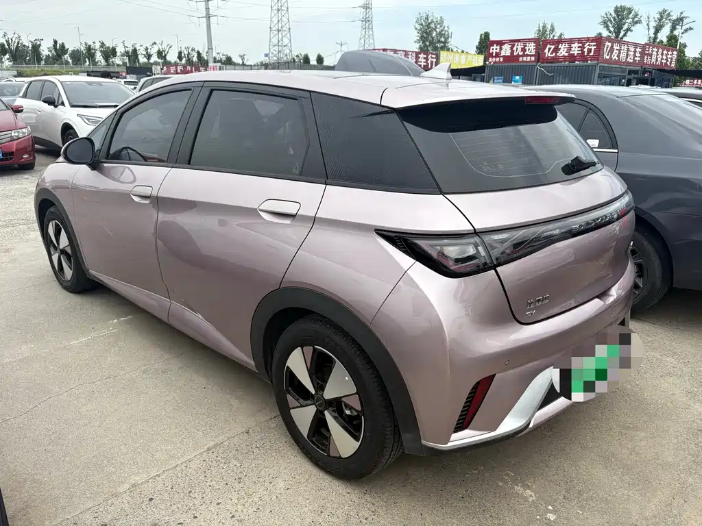 BYD Dolphin 2025 420km Freedom Edition 2024 - thumbnail 7
