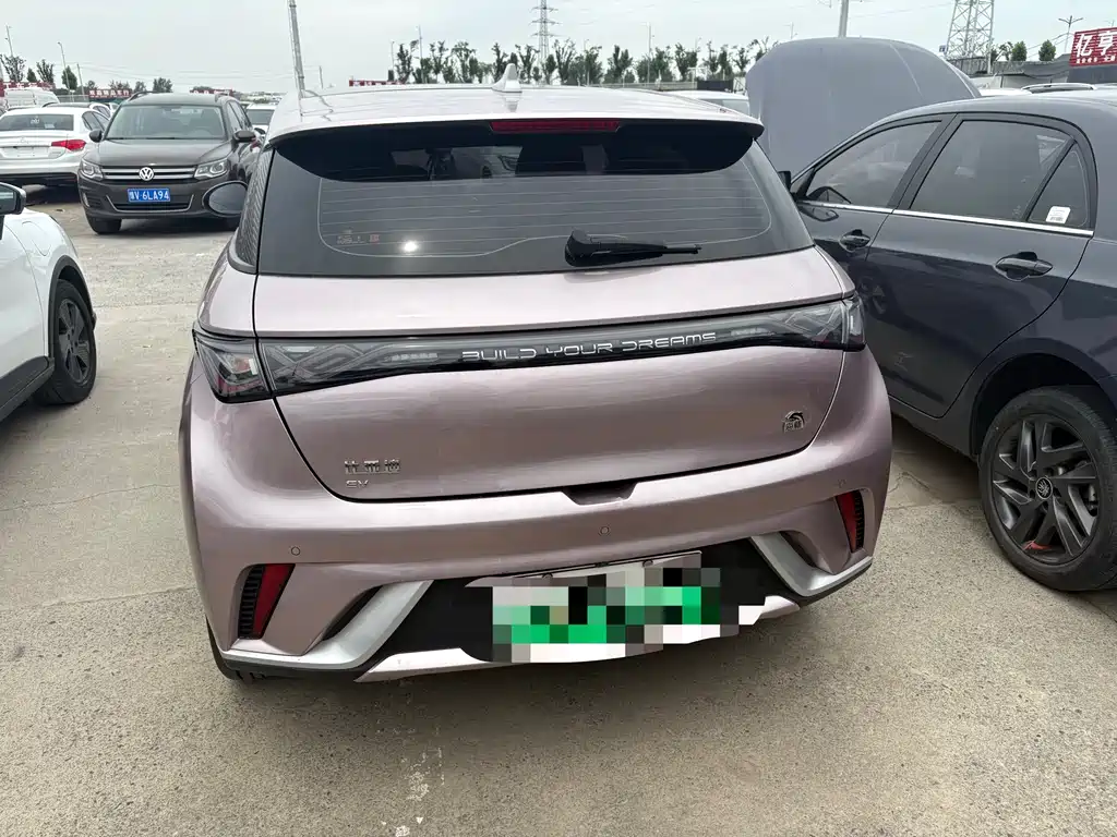 BYD Dolphin 2025 420km Freedom Edition 2024 - thumbnail 8