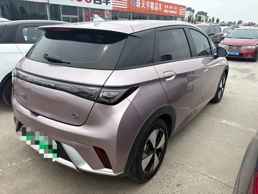 BYD Dolphin 2025 420km Freedom Edition 2024 - thumbnail 9