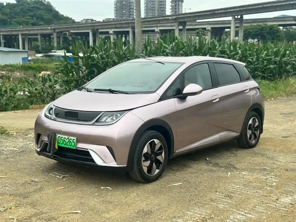 BYD BYD Dolphin 2025 420km Free Edition 2025