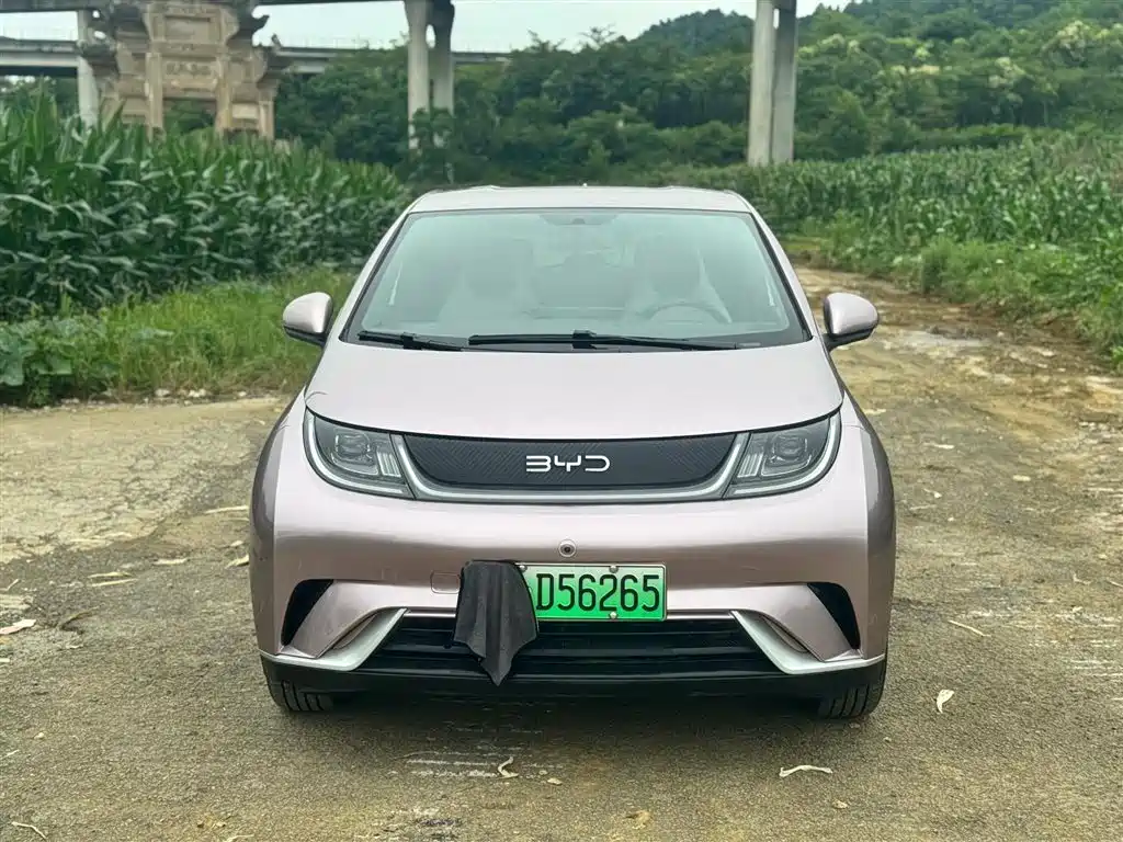 BYD BYD Dolphin 2025 420km Free Edition 2025 - thumbnail 2