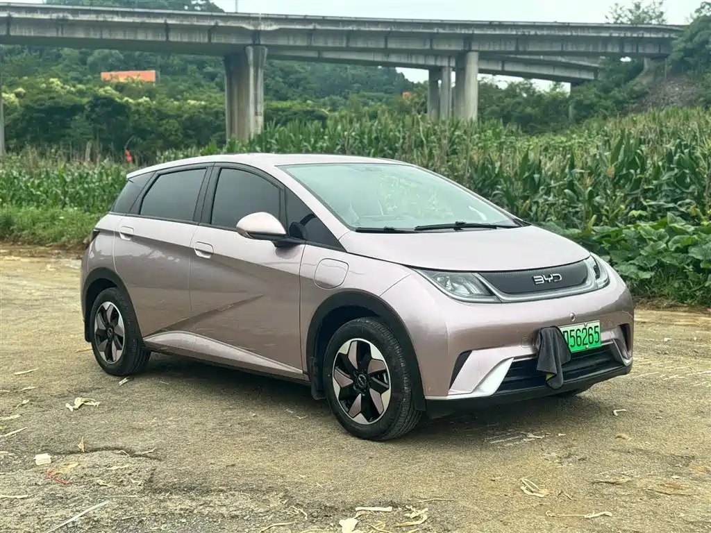 BYD BYD Dolphin 2025 420km Free Edition 2025 - thumbnail 3