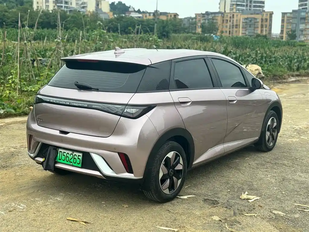 BYD BYD Dolphin 2025 420km Free Edition 2025 - thumbnail 4