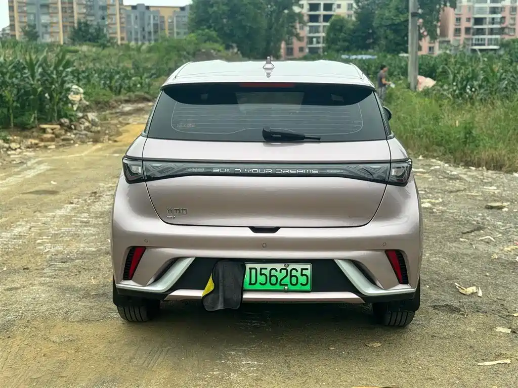 BYD BYD Dolphin 2025 420km Free Edition 2025 - thumbnail 5