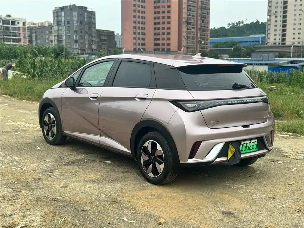 BYD BYD Dolphin 2025 420km Free Edition 2025 - thumbnail 6