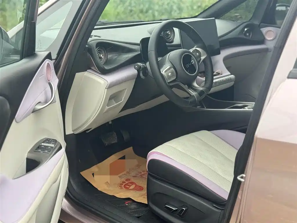 BYD BYD Dolphin 2025 420km Free Edition 2025 - thumbnail 7