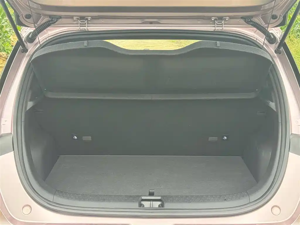 BYD BYD Dolphin 2025 420km Free Edition 2025 - thumbnail 11