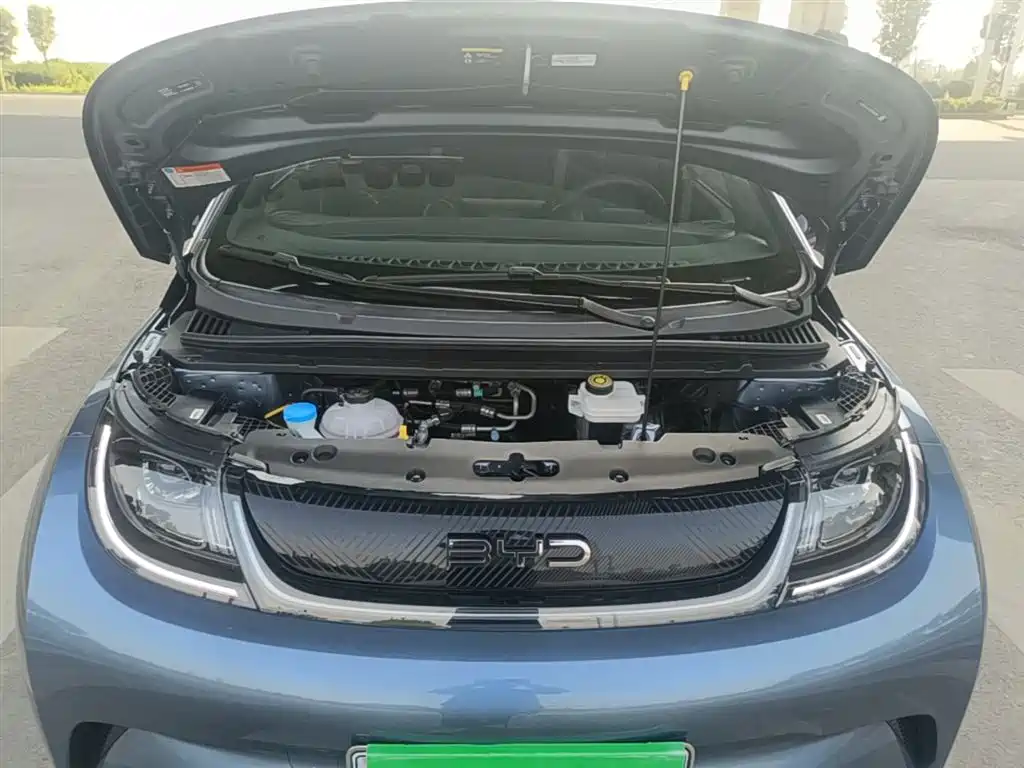 BYD Dolphin 2025 420km Vitality Edition 2025 - thumbnail 13