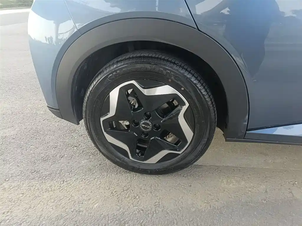 BYD Dolphin 2025 420km Vitality Edition 2025 - thumbnail 21