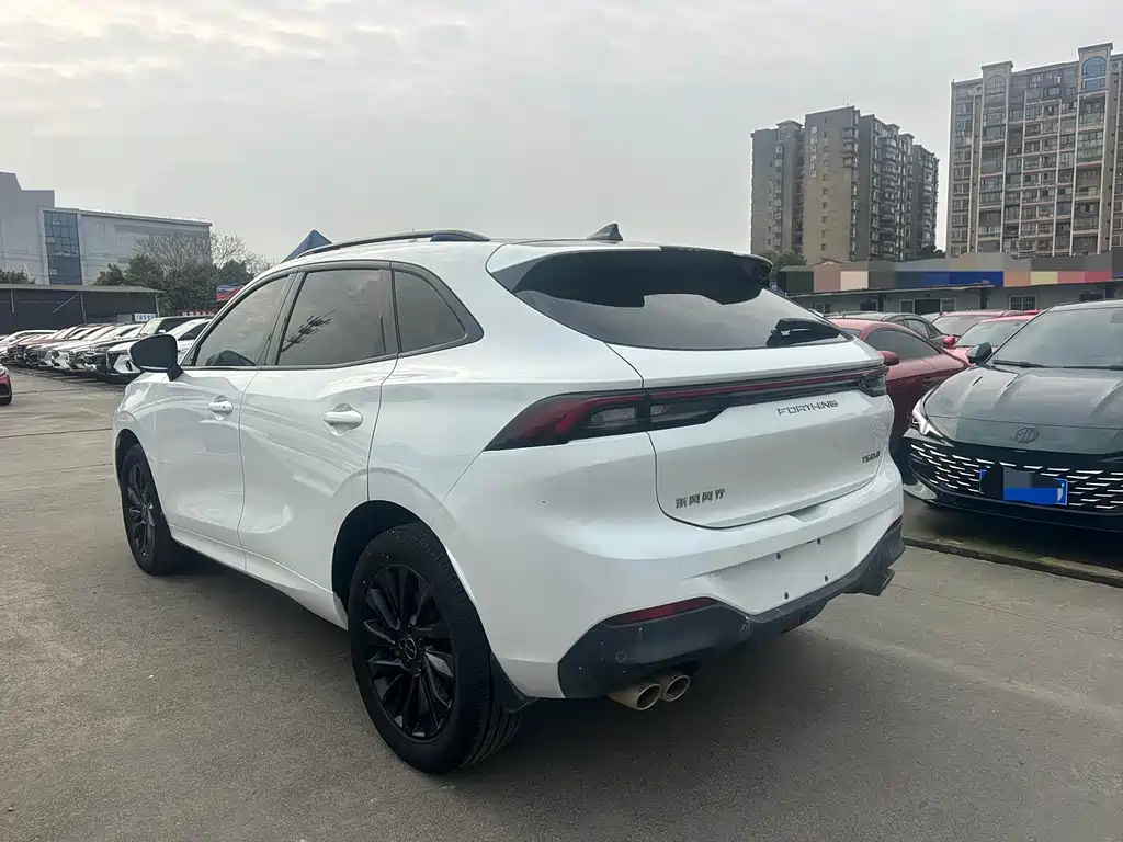Dongfeng Forthing Dongfeng Fengxing T5 EVO 2021 1.5TD DCT Diamond Edition 2021 - thumbnail 4