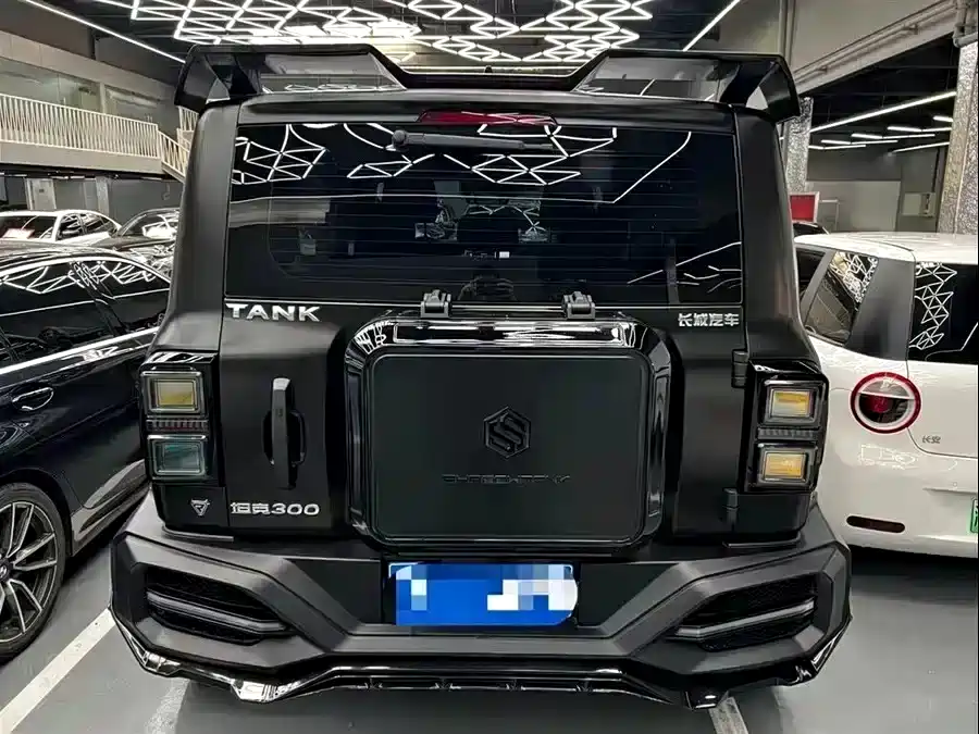 Tank Tank 300 2021 Off-Road Edition 2.0T Conqueror 2021 - thumbnail 18