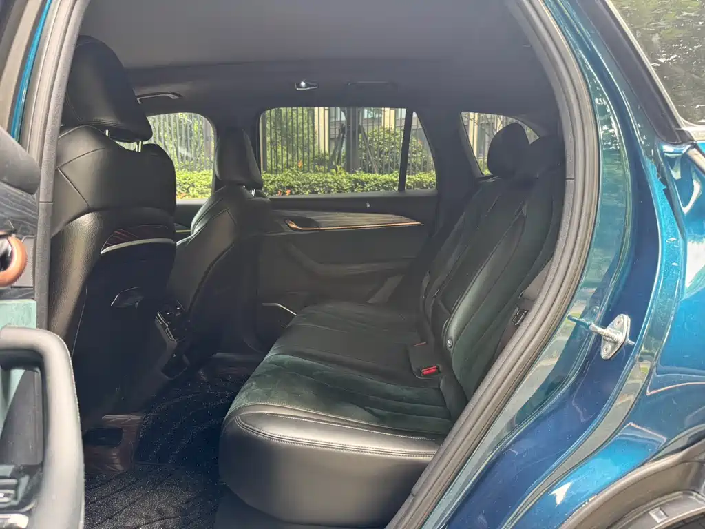 Geely Auto Tugella L 2021 2.0TD High-Power AWD Premium 2022 - thumbnail 6