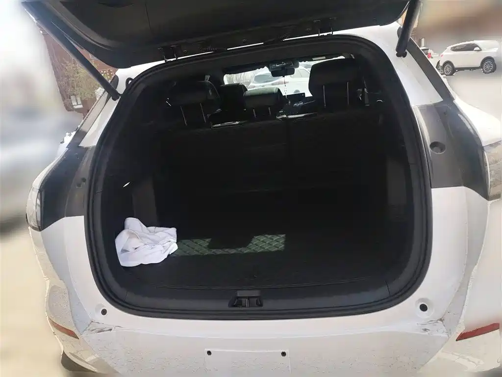 BYD Haishi 06 2025 EV 605 Pilot Pro Edition 2026 - thumbnail 10