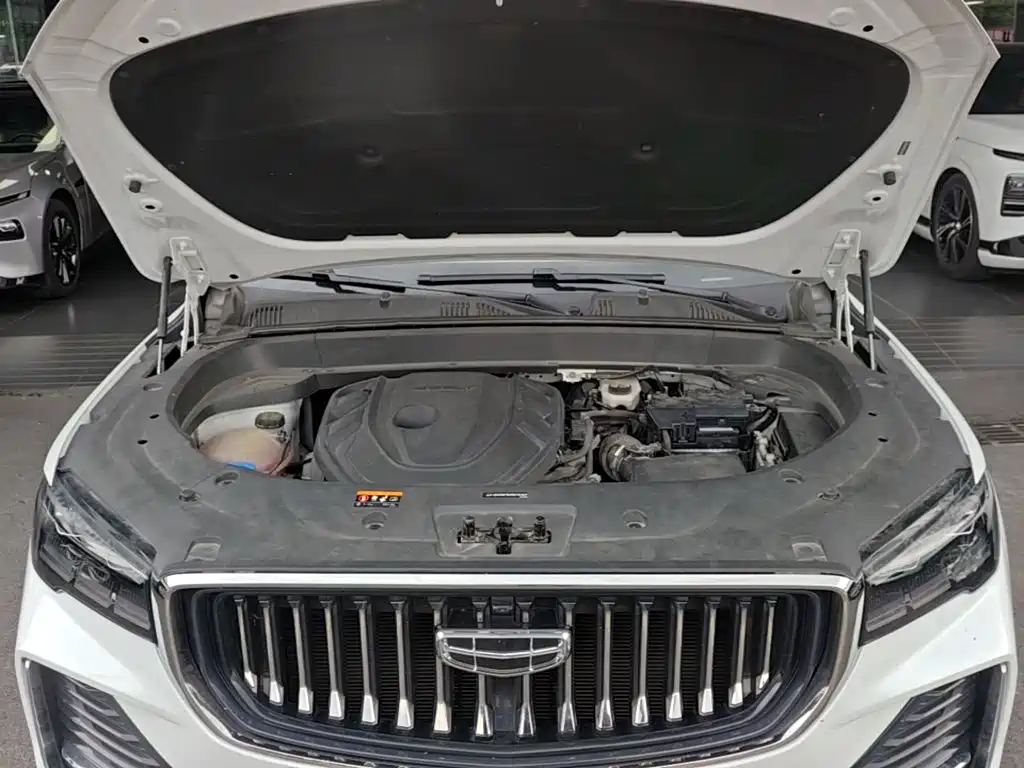 Geely Auto Tugella L 2021 2.0TD High-Power Automatic AWD Prestige 2021 - thumbnail 20