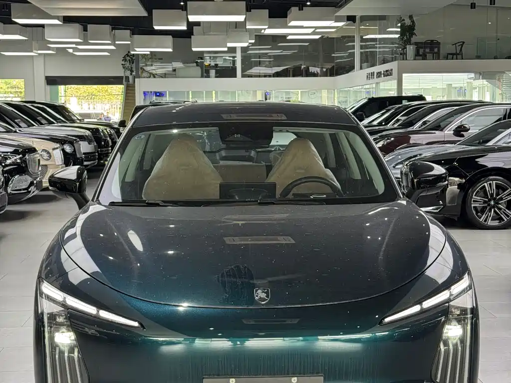 Dongfeng Fengxing Xinghai T5 2026 530km Premium Edition 2026 - thumbnail 2