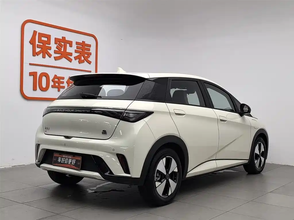 BYD Dolphin 2023 420km Fashion Edition 2023 - thumbnail 2