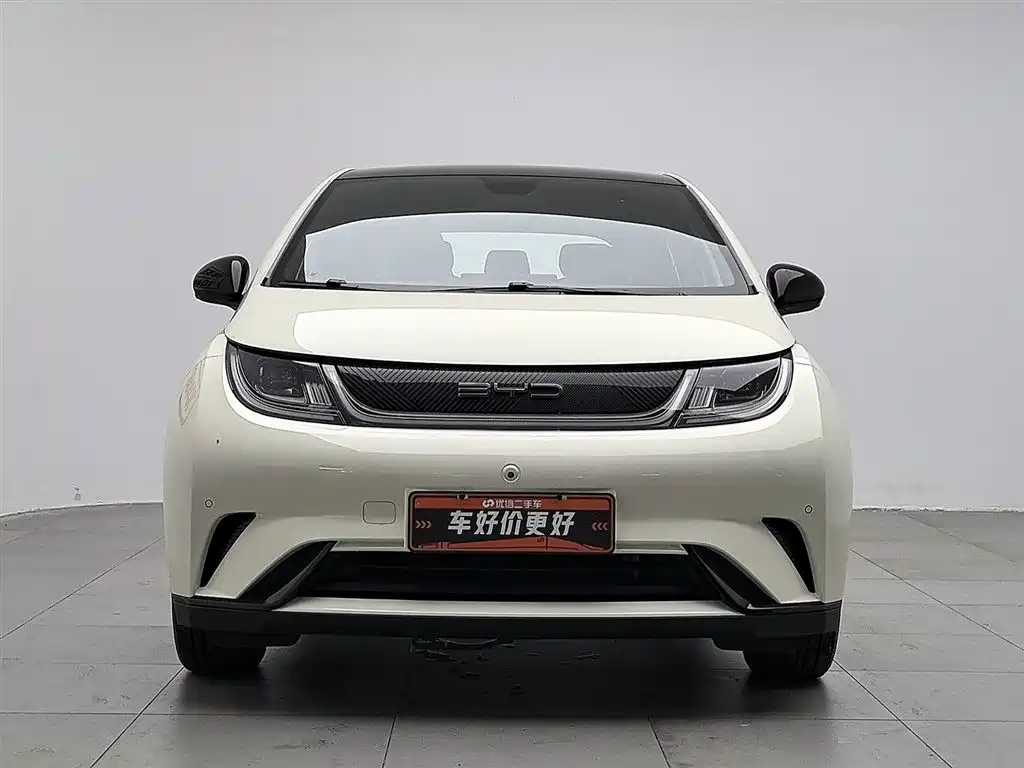 BYD Dolphin 2023 420km Fashion Edition 2023 - thumbnail 3