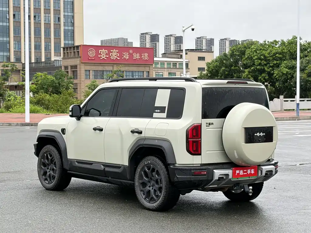 Fangchengbao Bao 5 2023 DiSus Flagship Edition 2024 - thumbnail 7