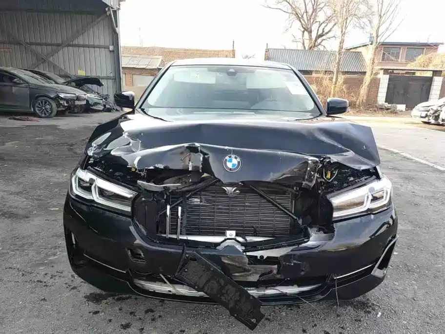 BMW BMW 5 Series 2022 Facelift 530Li Leading Luxury Package 2022 - thumbnail 2