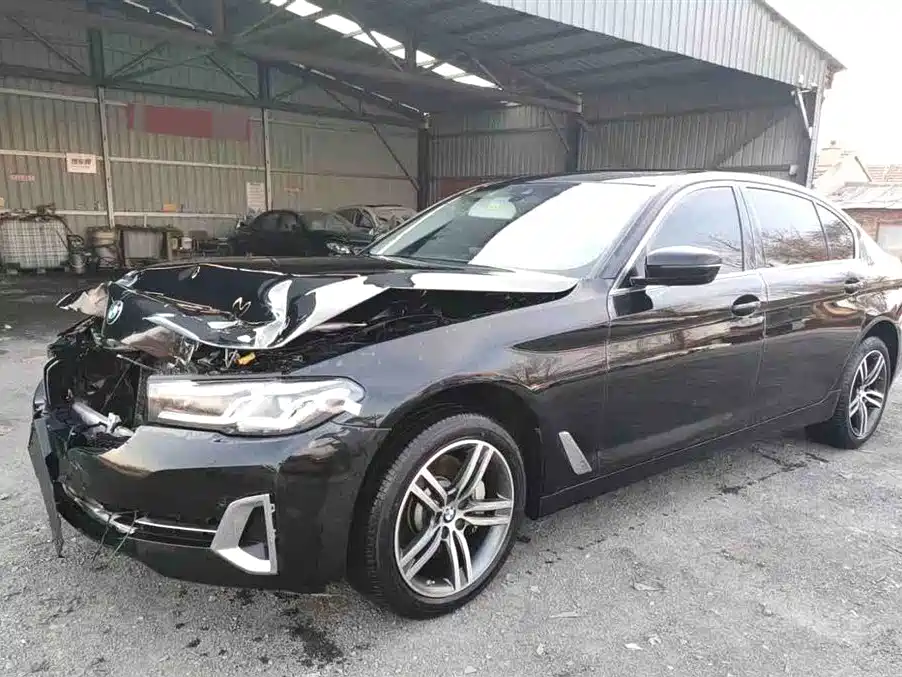 BMW BMW 5 Series 2022 Facelift 530Li Leading Luxury Package 2022 - thumbnail 10